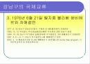 지방자치단체의 국제교류사업-강남구를 중심으로 8페이지