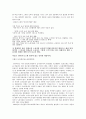 인적자원관리_비정규직의 현실과 미래 17페이지