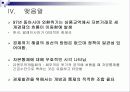 자본유출통제 - 자본에 대한 통제와 경제의 관계 분석및 고찰 (외환위기의 예시를 통해 살펴봄) 14페이지
