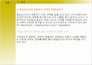 국가별 자본시장의 특징과 전망 분석 고찰 26페이지