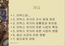 브릭스 국가의 공통점과 차이점 ,자본시장의 특성, 영향 앞으로의 전망 분석 고찰 2페이지