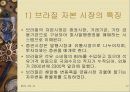 브릭스 국가의 공통점과 차이점 ,자본시장의 특성, 영향 앞으로의 전망 분석 고찰 17페이지