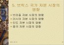 브릭스 국가의 공통점과 차이점 ,자본시장의 특성, 영향 앞으로의 전망 분석 고찰 21페이지