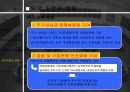 외국 자본의 영향과 전망 분석 고찰 12페이지
