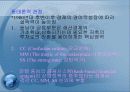동남아시아 경제 성장의 결빙(freezing)과 금융위기-(타이와 인도네시아 사례를 중심으로 4페이지