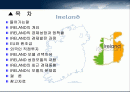 IRELAND-아일랜드의 경제성장과 정책 모형, 경제발전과정 2페이지
