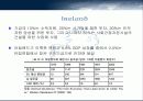 IRELAND-아일랜드의 경제성장과 정책 모형, 경제발전과정 10페이지
