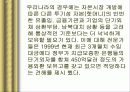 IMF 외환위기와 국란극복 과정, 분석, 고찰, 나아갈 방향 19페이지