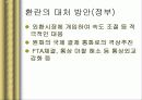 IMF 외환위기와 국란극복 과정, 분석, 고찰, 나아갈 방향 33페이지