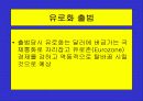 유로화의 출범배경과 과정, 전망, 고찰 , 시사점 [발표자료] 5페이지