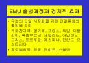 유로화의 출범배경과 과정, 전망, 고찰 , 시사점 [발표자료] 6페이지