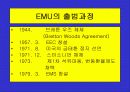 유로화의 출범배경과 과정, 전망, 고찰 , 시사점 [발표자료] 7페이지