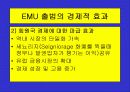 유로화의 출범배경과 과정, 전망, 고찰 , 시사점 [발표자료] 12페이지