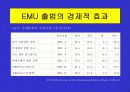 유로화의 출범배경과 과정, 전망, 고찰 , 시사점 [발표자료] 14페이지
