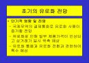 유로화의 출범배경과 과정, 전망, 고찰 , 시사점 [발표자료] 15페이지