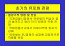 유로화의 출범배경과 과정, 전망, 고찰 , 시사점 [발표자료] 16페이지