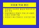 유로화의 출범배경과 과정, 전망, 고찰 , 시사점 [발표자료] 18페이지