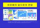 유로화의 출범배경과 과정, 전망, 고찰 , 시사점 [발표자료] 19페이지