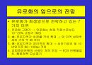 유로화의 출범배경과 과정, 전망, 고찰 , 시사점 [발표자료] 20페이지