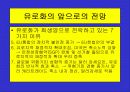 유로화의 출범배경과 과정, 전망, 고찰 , 시사점 [발표자료] 21페이지