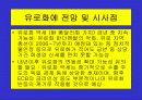 유로화의 출범배경과 과정, 전망, 고찰 , 시사점 [발표자료] 22페이지