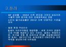중남미 경제환경과 금융시장 분석, 발전방향, 고찰 [발표자료] 24페이지