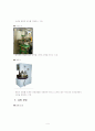 blt강유전체 공정과정 4페이지