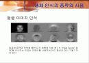 [정보통신론 발표자료] 보안기법 16페이지