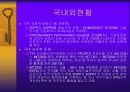 [발표자료]핸드폰 시장현황 및 발전전망 21페이지