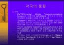 [발표자료]핸드폰 시장현황 및 발전전망 29페이지
