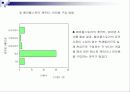 메이플스토리 표적시장 조사 보고서 11페이지
