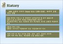 기업분석_리츠칼튼호텔의 재무,수익,경영분석 9페이지