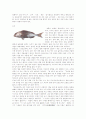 도미찜, 탕평채, 매작과 만들기 2페이지