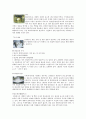 막걸리[maggolli, turbid rice-wine] 누룩[nuruk, rice-wine starter]  18페이지