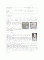 발효 육제품(소시지) 10페이지
