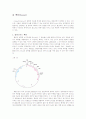 벡터 (Vector) 2페이지