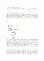벡터 (Vector) 3페이지