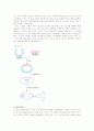 벡터 (Vector) 10페이지