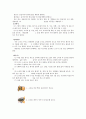 오이피클 14페이지