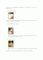 파운드케잌 17페이지