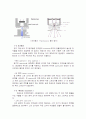 주사전자현미경 16페이지