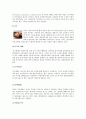 콩과 두부에 대해 11페이지
