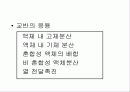 교반기시험 3페이지