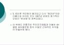 정부주도형 주민조직 4페이지