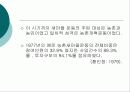 정부주도형 주민조직 10페이지
