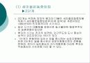 정부주도형 주민조직 11페이지