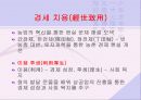 유교(儒敎)란 무엇인가(조선의유교) 11페이지