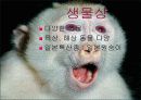 일본은 어떤 나라일까 ? 8페이지