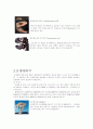 시대별 표준화석 9페이지