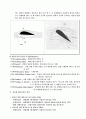 풍동 실험 3페이지